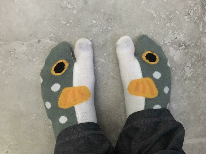 ces chaussettes de poisson du Japon