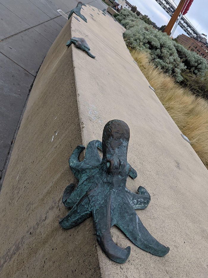 ces gardes anti-skateboard en forme de sceau sur l’embarcadero de sf