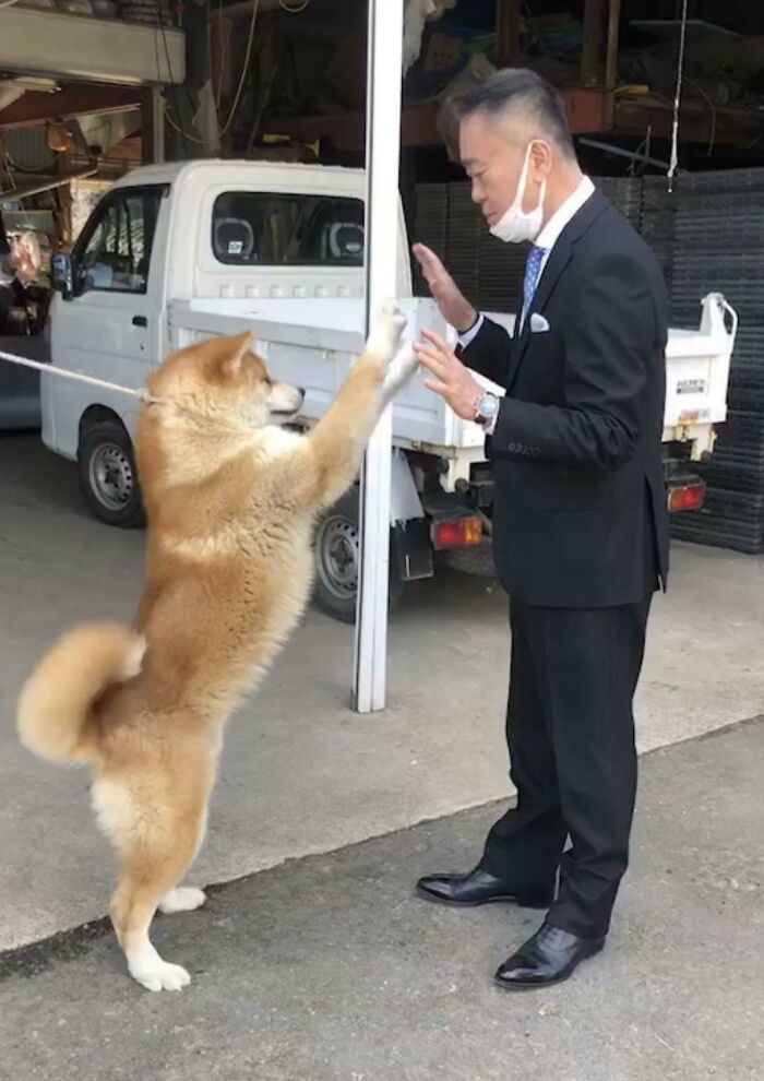 quand mon père est allé adopter un chien, il a décidé de s’habiller pour impressionner