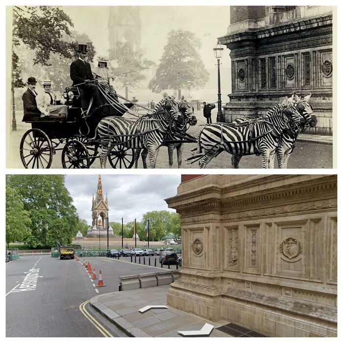 Voiture tirée par un zèbre devant l’albert hall, londres, 1894.