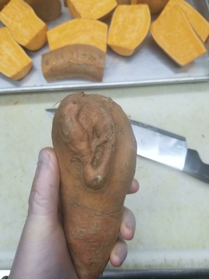 Cette patate douce que j’ai trouvée au travail a une oreille