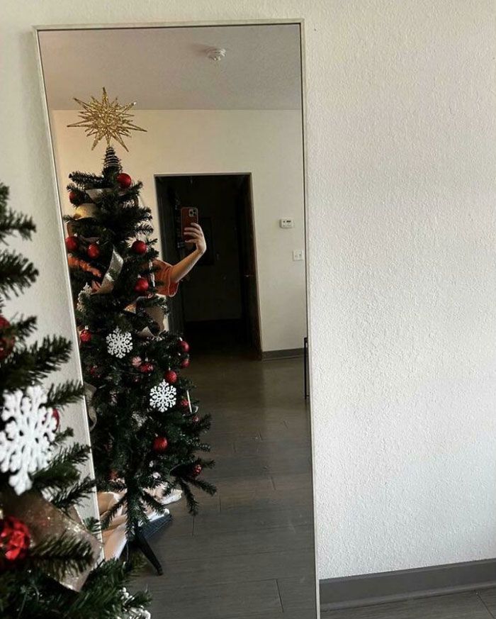 cet arbre de Noël a un miroir qu’il aimerait te vendre