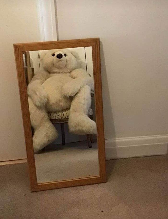 Miroir de vente d’ours