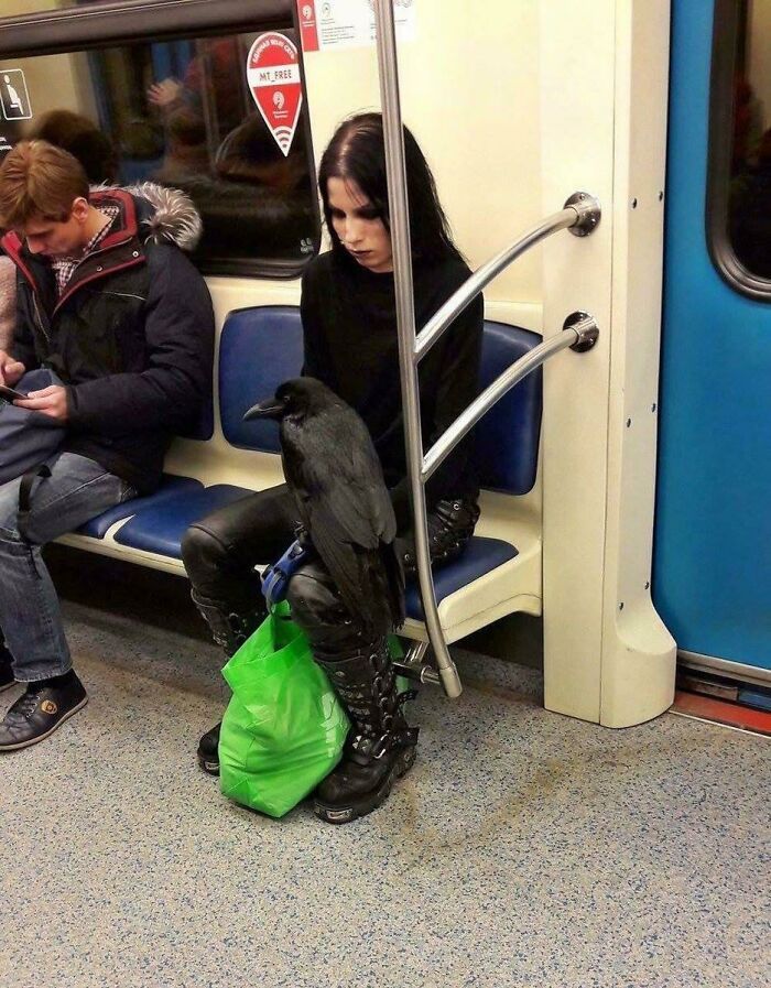 Bien sûr, tu peux penser que tu es gothique, mais à moins de prendre le métro avec ton corbeau, tu peux aussi bien accrocher ta redingote en velours noir et aller à la plage.