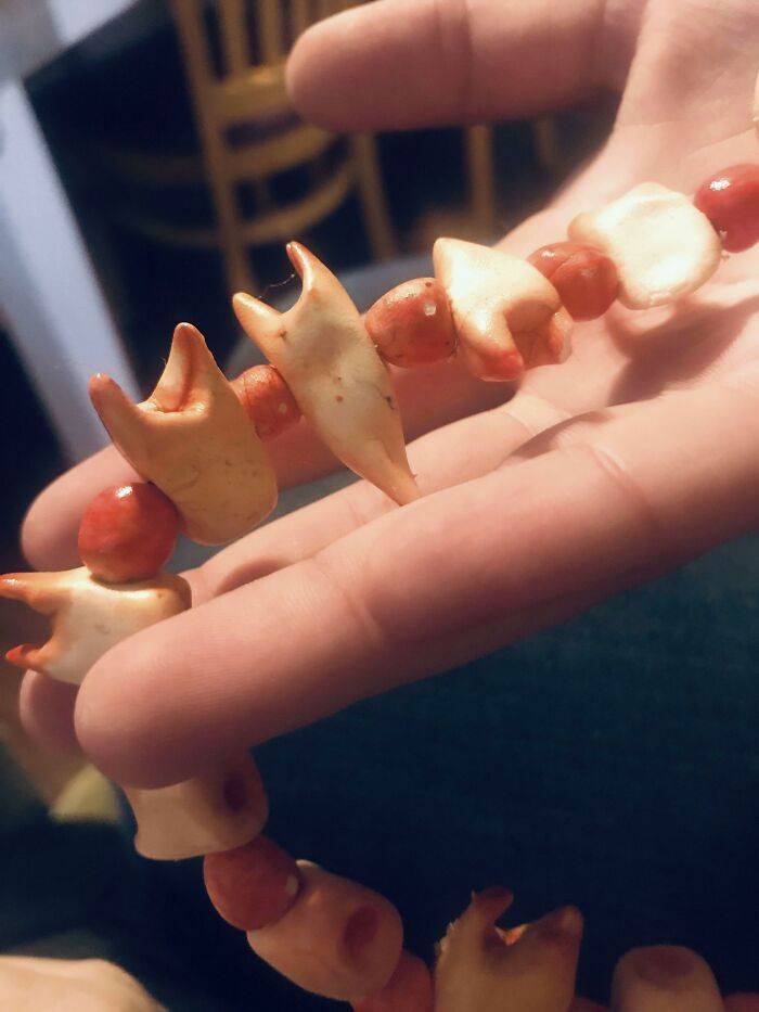 ma fille a fabriqué un collier d’apparence réaliste en dents d’argile