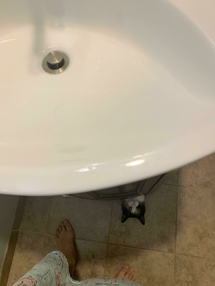 Ma copine se brossait les dents ce matin quand un monstre a surgi de sous l’évier.