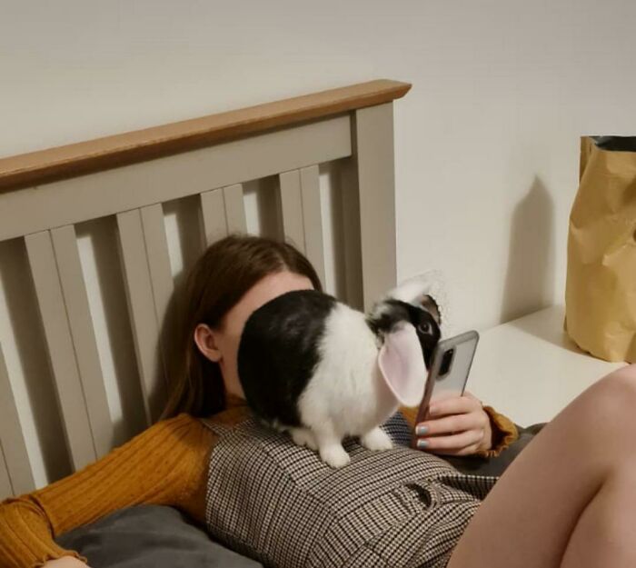 J’ai échangé mon espace personnel contre un lapin domestique.