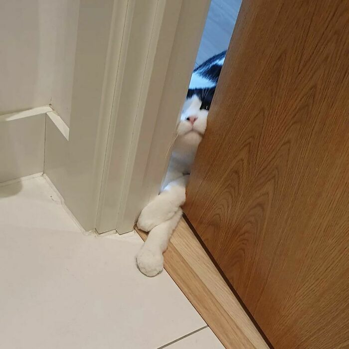 Maman, comment oses-tu aller aux toilettes sans moi ?