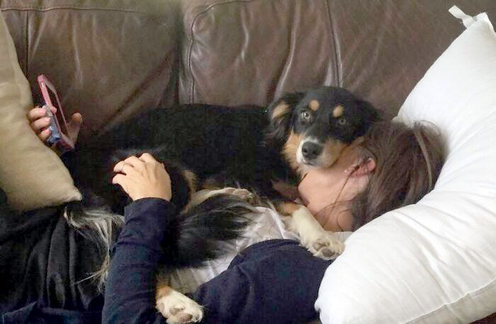 Mon chien ne croit pas en l’espace personnel