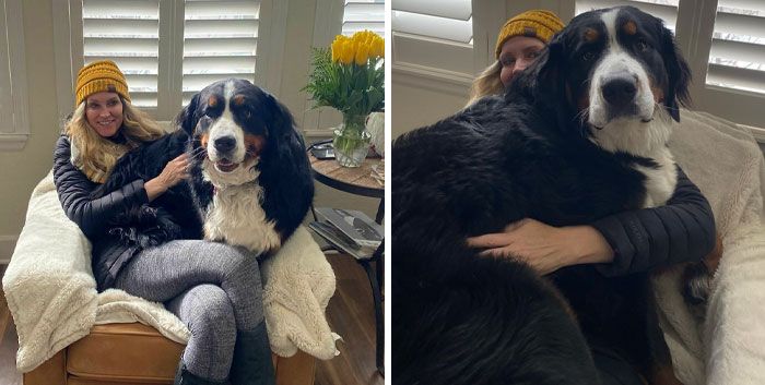 Ces filles ne connaissent pas l’espace personnel. mocha sur la première photo et bailey, le monstre de 10 mois, sur la deuxième.