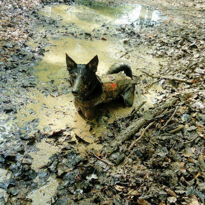 Rien de tel qu’un bon bain de boue !