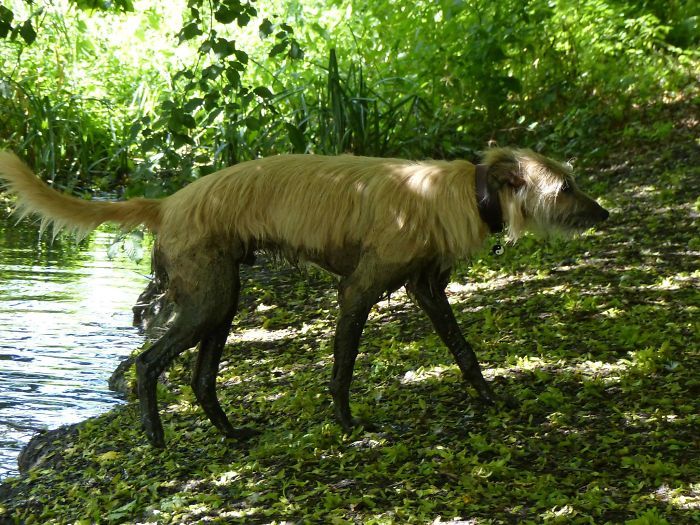 quelqu’un vient de trouver la partie la plus odorante du canal local…