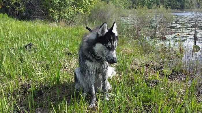 rencontre drake, amoureux de la boue