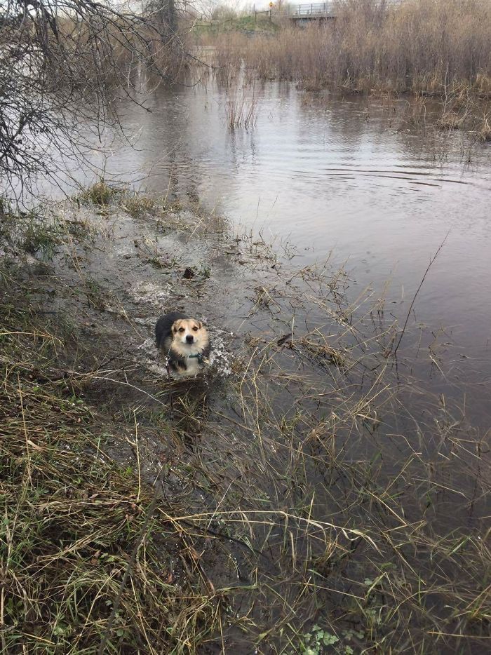 Je pensais que c’était de l’eau, maman… c’est de la boue !!!