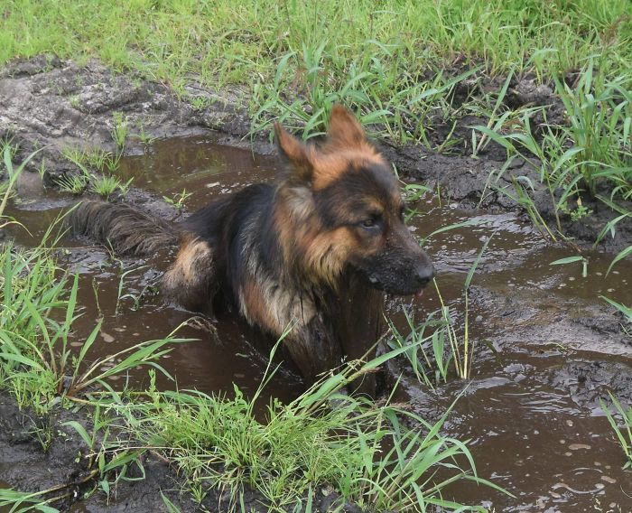 max dans une pépinière