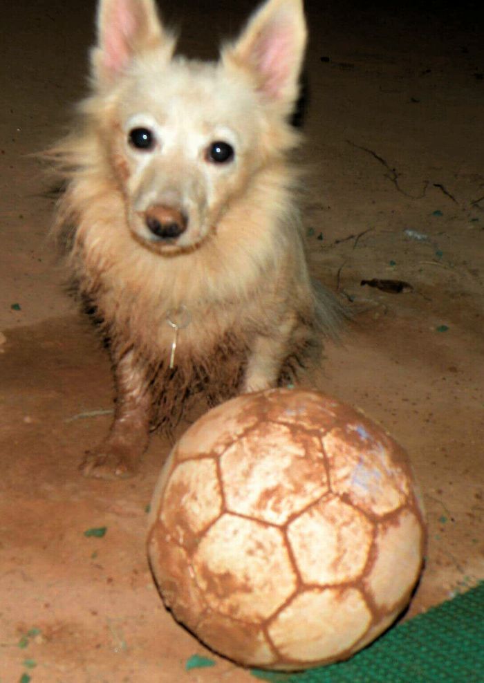 son ballon de foot est “accidentellement” tombé dans une flaque de boue