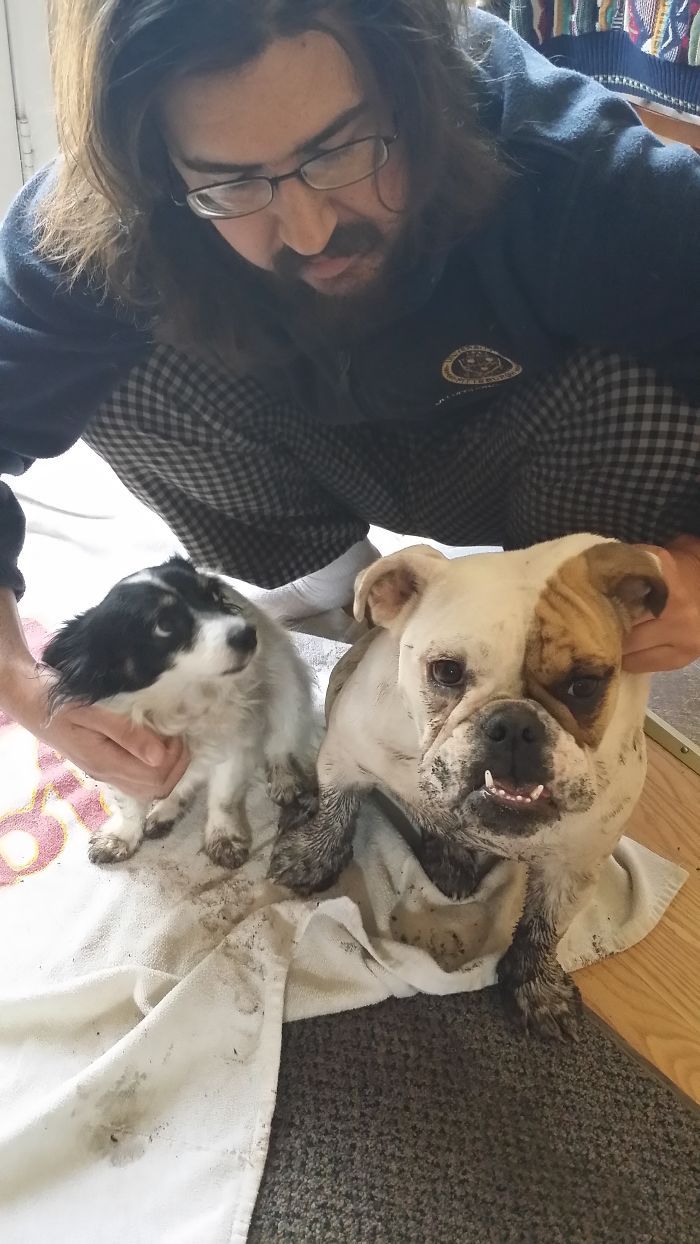 ce qui se passe quand les bébés sont laissés avec papa !