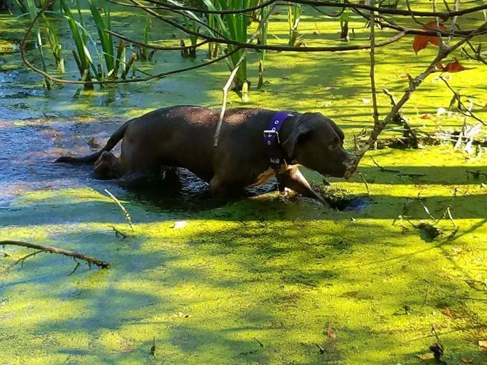 elle a cru qu’elle sautait dans l’herbe