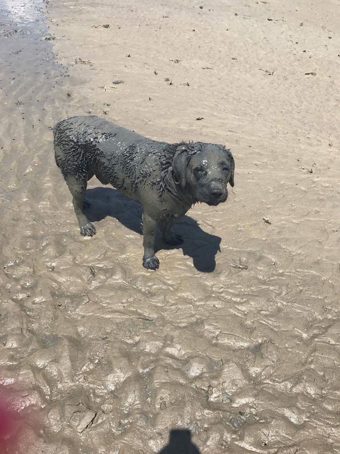 à la plage !