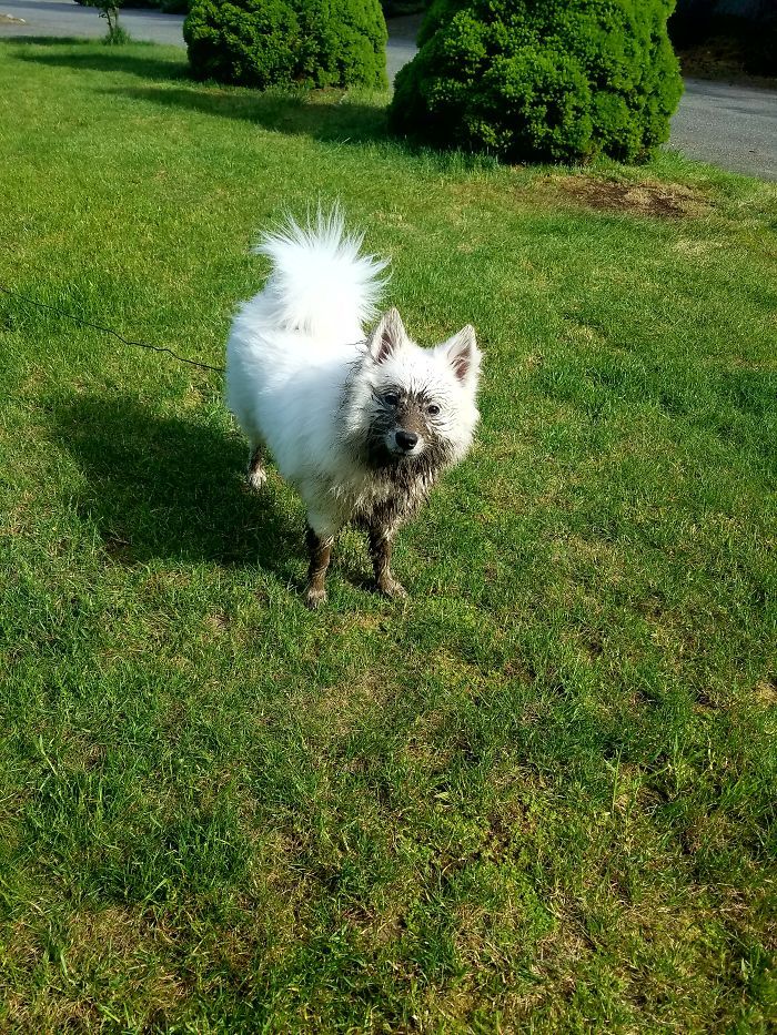 Oui, je suis très fière de moi maman !