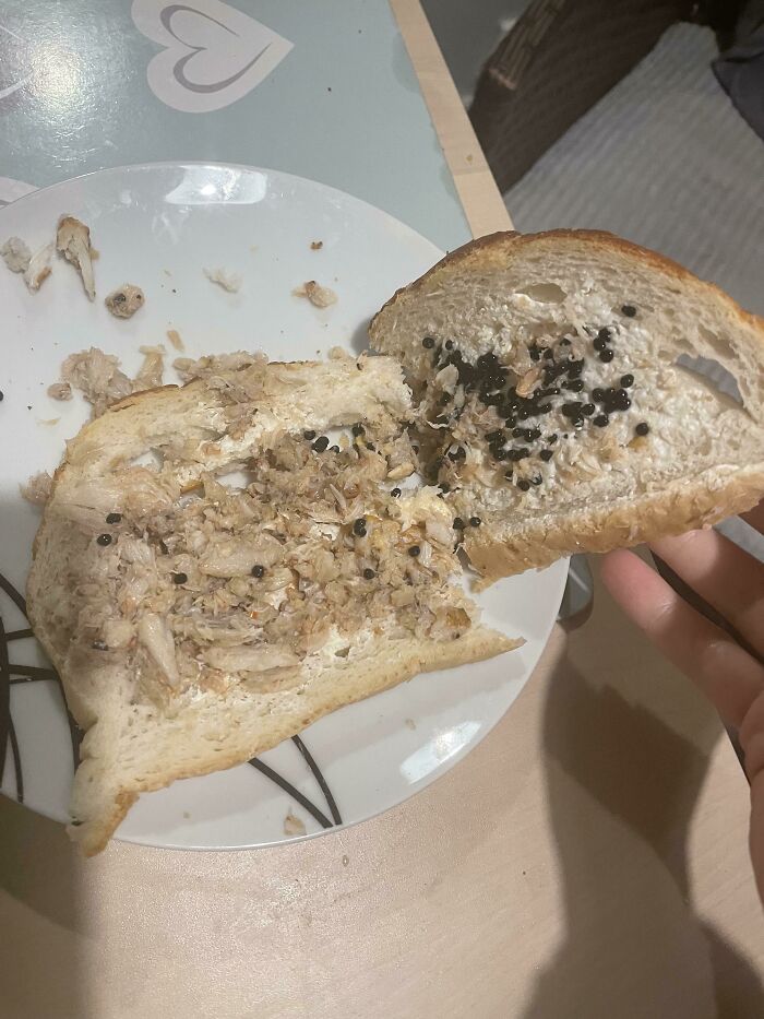 Mon copain a fait un sandwich à la viande de crabe et au caviar et a dit “c’est trop poissonneux” quand il l’a mangé.