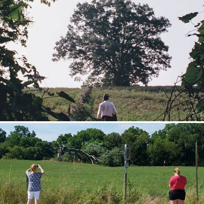 c’était toujours un rêve personnel de pouvoir aller visiter ce chêne remarquable dans la rédemption de shawshank