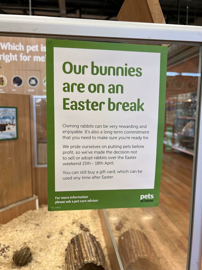 cette animalerie ne vend pas de lapins à Pâques
