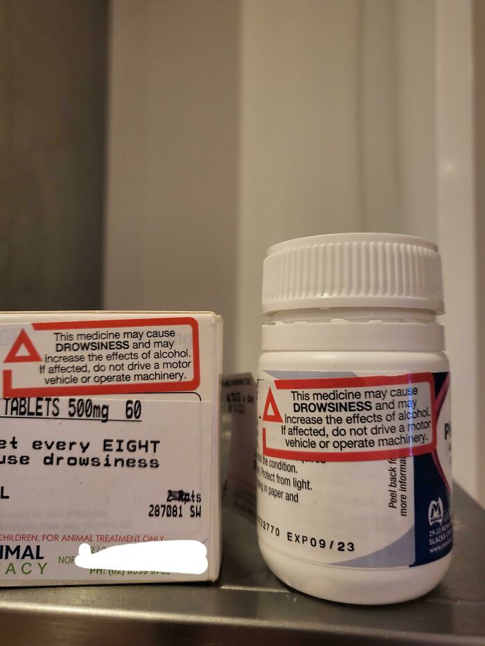 Le vétérinaire a mis un avertissement sur les médicaments de mon chien pour qu’il n’utilise pas de machines lourdes ou ne conduise pas lorsqu’il est affecté.
