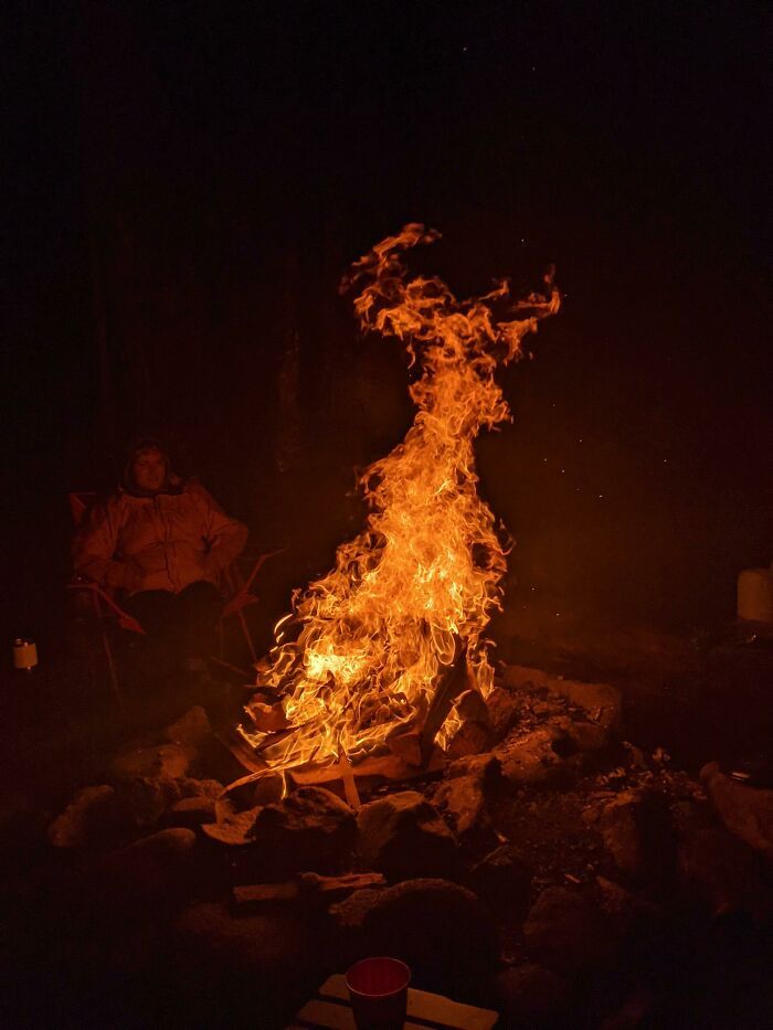 la photo que j’ai prise de ce feu ressemble à un cerf