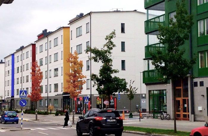 Par pure coïncidence, les arbres de cette rue étaient assortis aux couleurs des bâtiments.