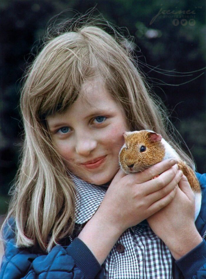 la jeune princesse diana avec son cochon d’inde, peanut – 1972