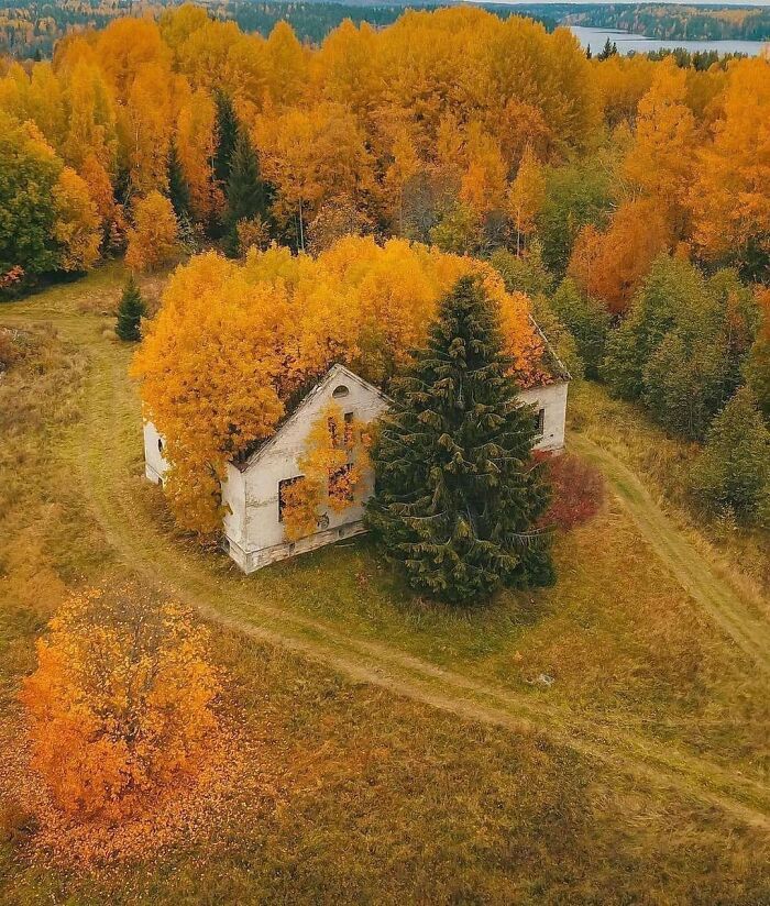 maison abandonnée en république de carélie, russie
