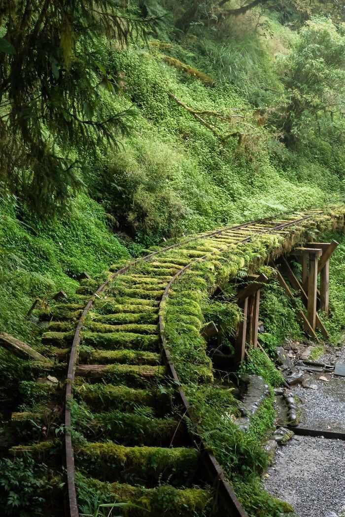 un chemin de fer abandonné à taïwan
