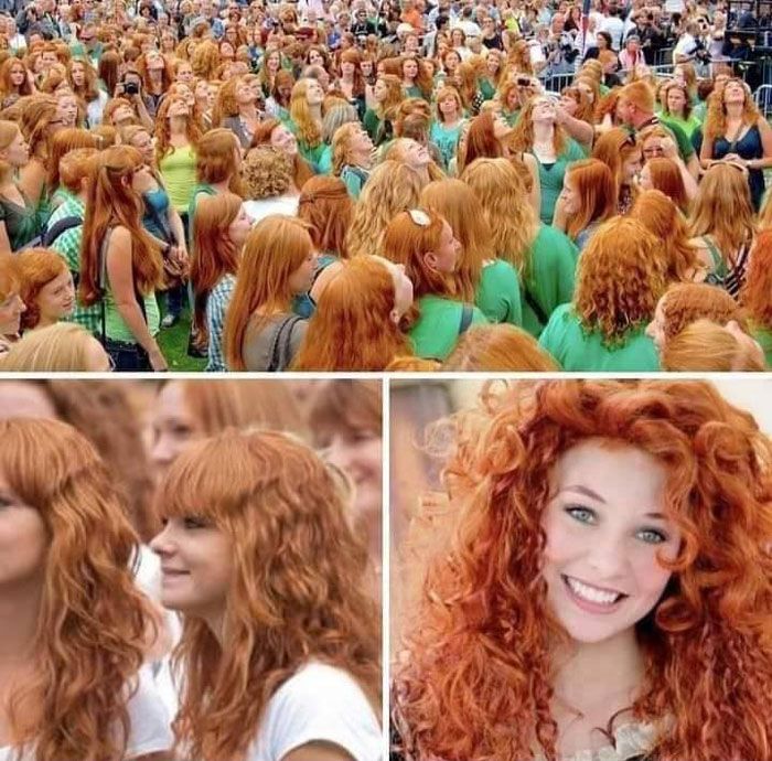 Redhead festival,dublin ireland beaucoup de gens se rassemblent dans cet endroit, unis uniquement par le fait qu’ils ont les cheveux orange.