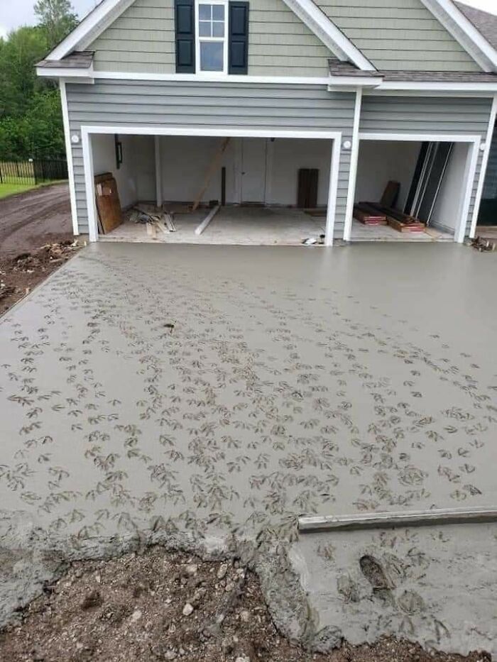 une équipe chargée de l’allée coulait du béton dans une nouvelle maison à côté d’une mare à canards. ils sont allés déjeuner et sont revenus pour trouver ceci