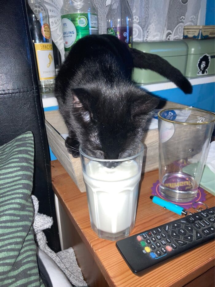 voleur de lait…à chaque fois !!!