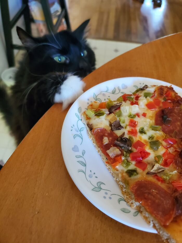 je peux haz pizza ?