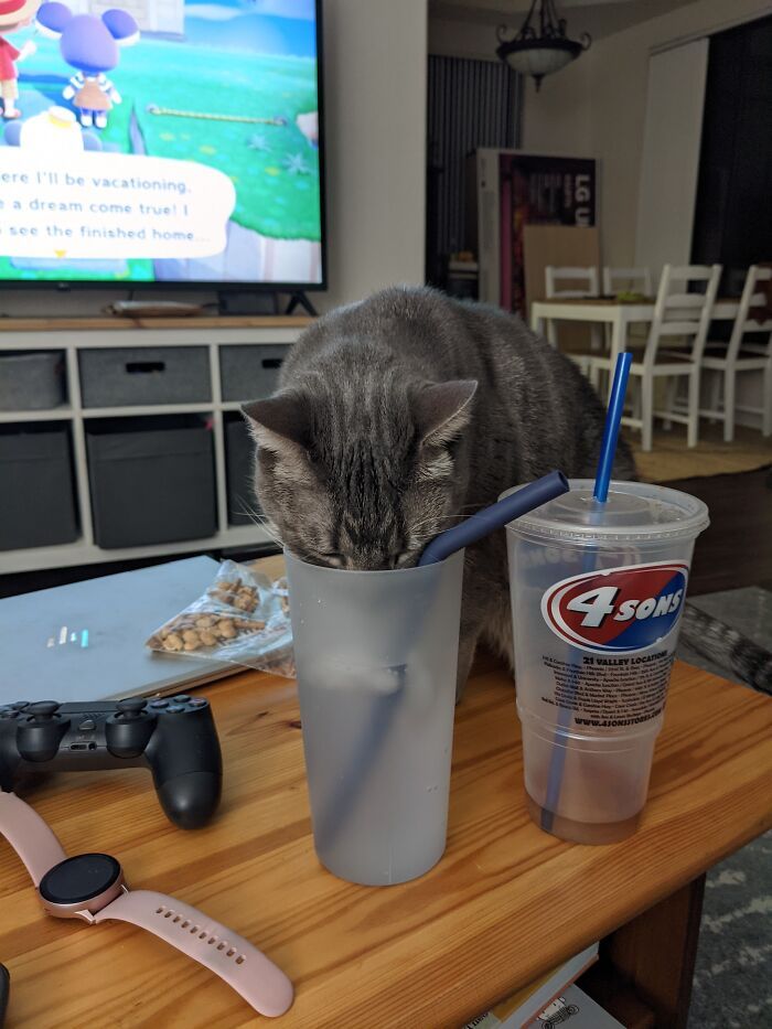 mila a décidé qu’elle voulait mon eau au lieu de la sienne