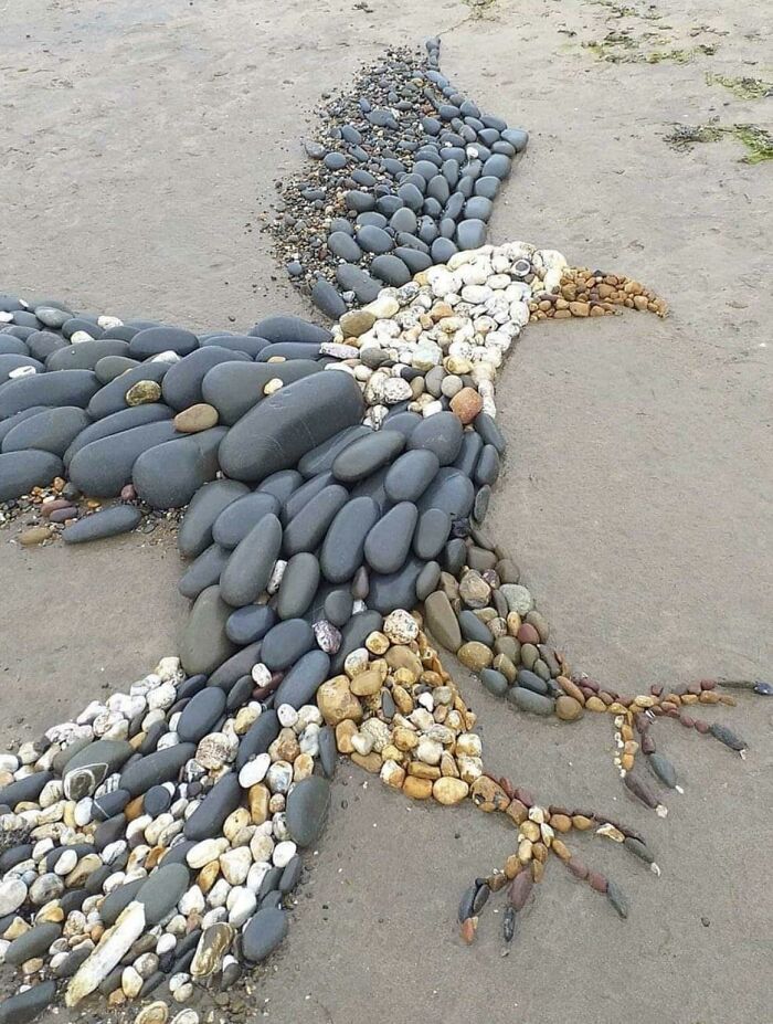 Quelqu’un a fabriqué cet aigle étonnant à partir de pierres sur une plage de Devon, au Royaume-Uni.