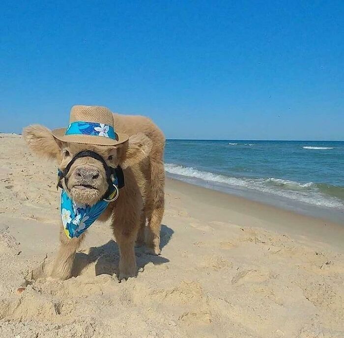 journée de plage