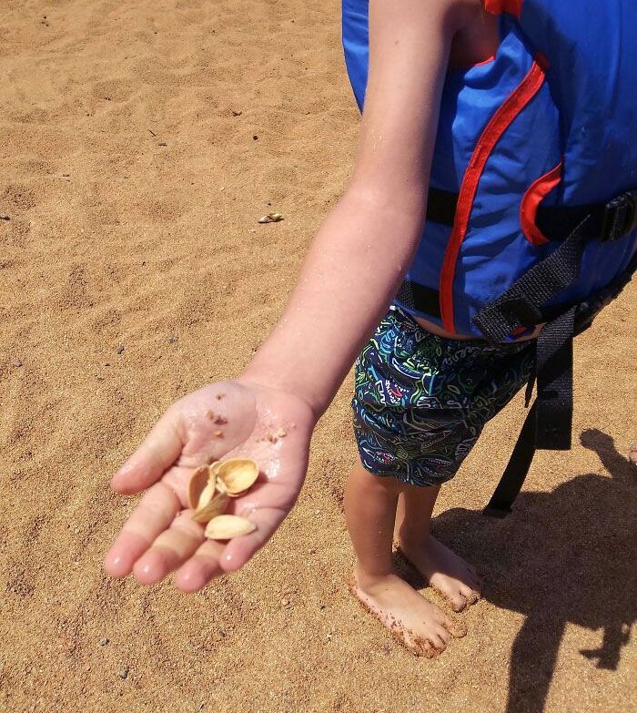 mon fils a trouvé des coquillages lors de sa première sortie à la plage. je n’ai pas eu le cœur de lui dire