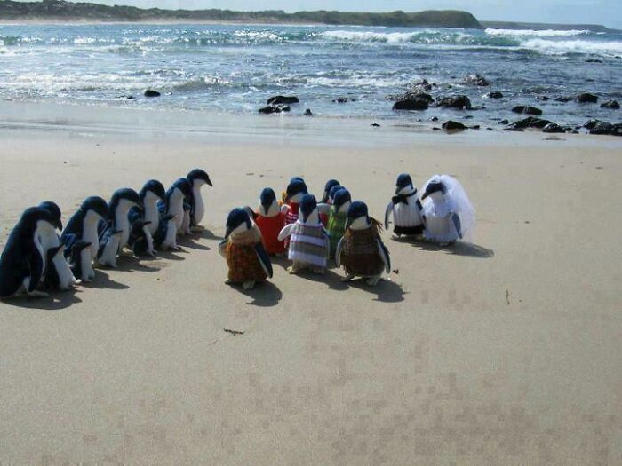 J’ai vu ces gars-là à la plage aujourd’hui