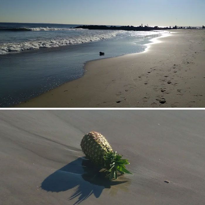 qui ne vit plus dans un ananas sous la mer