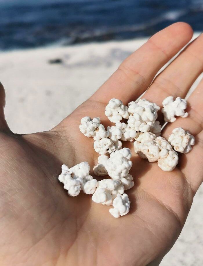 Il y a une plage à Fuerteventura qui a l’air d’être faite en pop-corn.