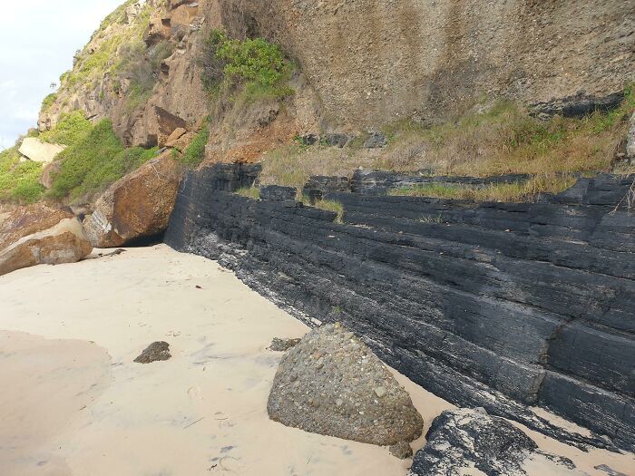 Il y a un filon de charbon exposé dans la falaise de ma plage locale.