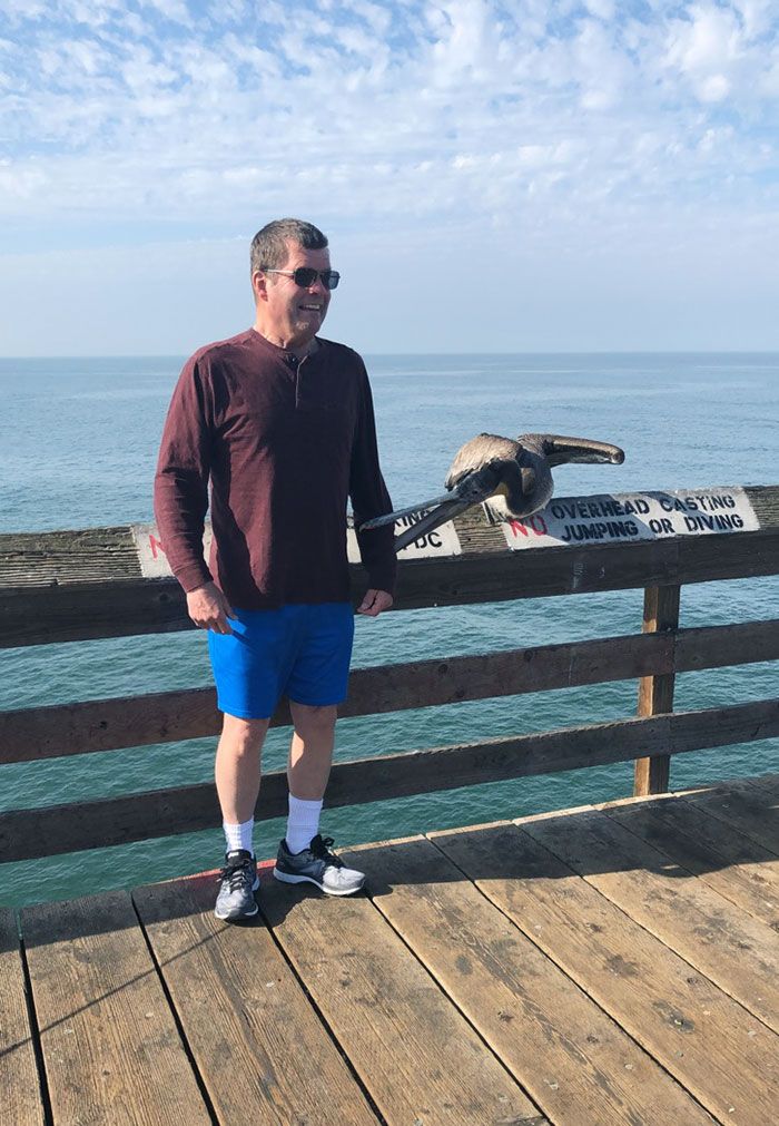 mon beau-père s’est fait mordre par un pélican ce matin à la plage impériale