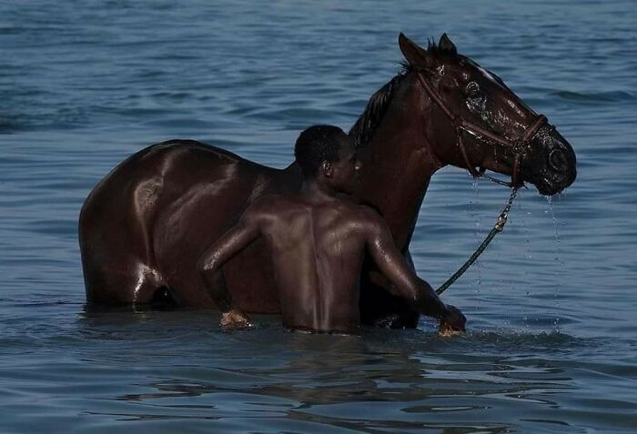 homme cheval