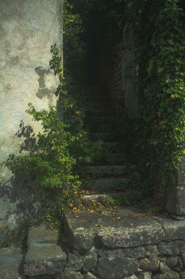 Escalier d’été français