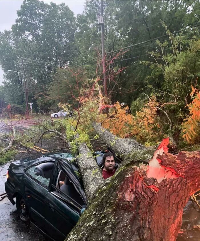 Un homme évite de justesse d’être écrasé par un arbre frappé par la foudre : “Je me sentais comme Buster Keaton”.