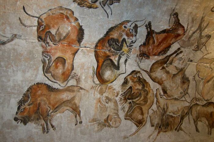 peintures de bisons dans la grotte d’altamira, en espagne. elles ont été peintes sur 20 000 ans, entre 35 000 et 15 000 ans avant J.-C.